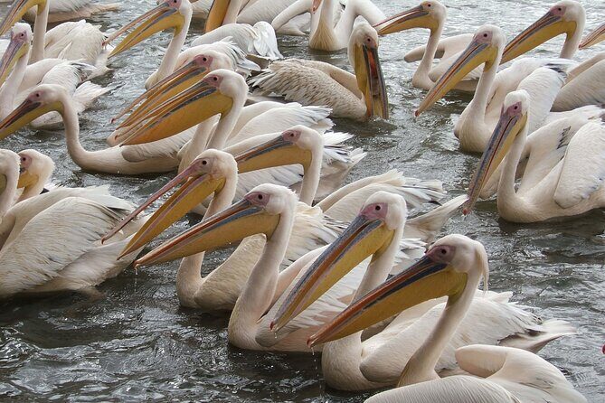 2-Day private Tour in Bahir Dar and Blue Nile falls - What’s Not Included