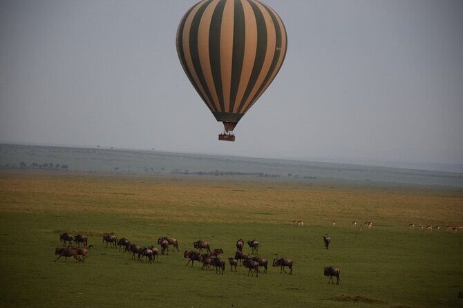 2-Day Private Tour in Masai Mara with Pick Up - Evaluating the Price and Experience