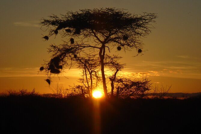 2-Day Private Tour in Tsavo East - What Sets This Tour Apart