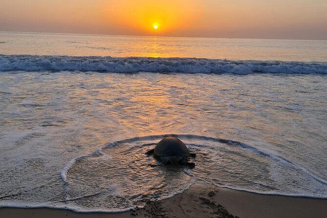 2-day Private Tour to Ras Al Hadd - Who Should Consider This Tour?