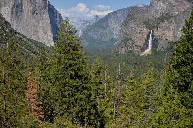 2 Day Private Tour to Yosemite National Park - Introduction