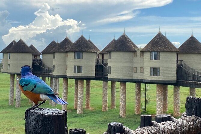 2-Day Private Tour Tsavo East and West from Diani Beach - Key Points