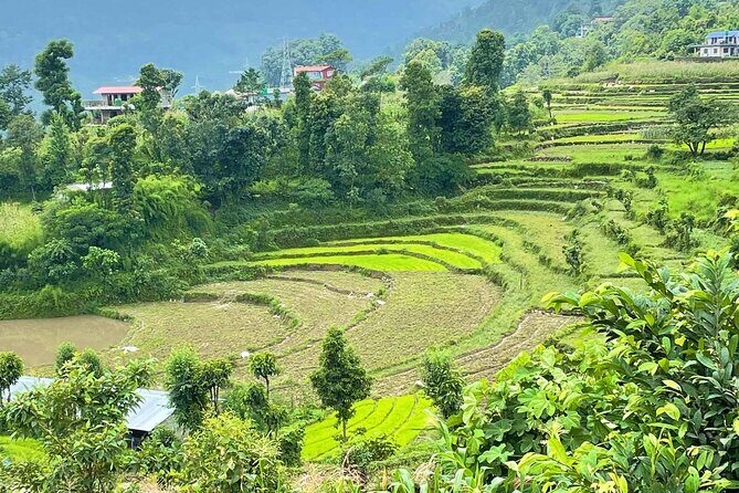 2-Day Private Trekking Tour to Australian Camp & Dhampus - Detailed Breakdown of the Itinerary