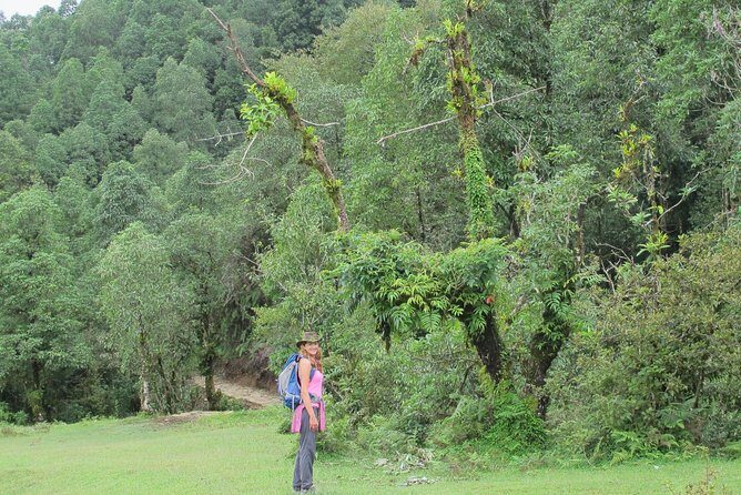 2-Day Private Trekking Tour to Australian Camp & Dhampus - Who Should Consider This Trek?