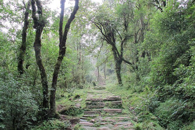 2-Day Private Trekking Tour to Australian Camp & Dhampus - FAQ
