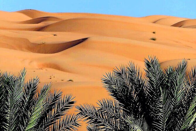 2-Day Private Wahiba Sands Desert Camping Tour from Muscat - The Sum Up: Who Will Enjoy This Tour?