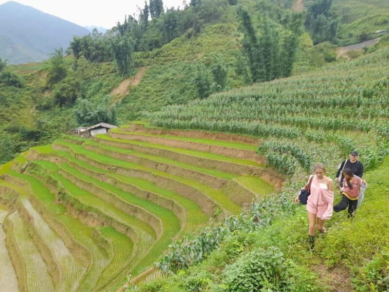 2-Day Sa Pa Ethnic Homestay Tour & Trek with Limousine Bus - The Sum Up