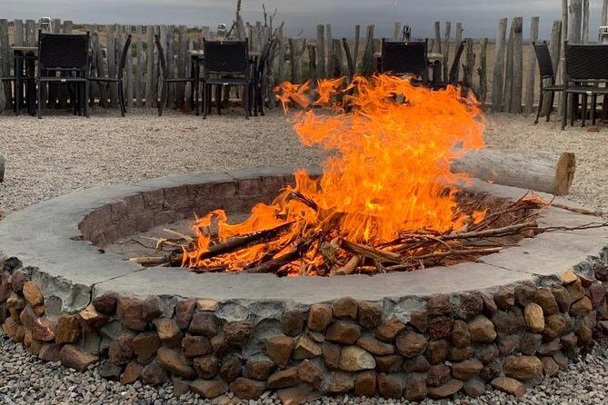 2 Day Safari Experience from Cape Town - What Makes This Tour Stand Out?