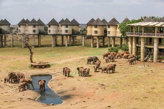 2-Day Safari in Taita Hills from Mombasa - The Itinerary in Detail