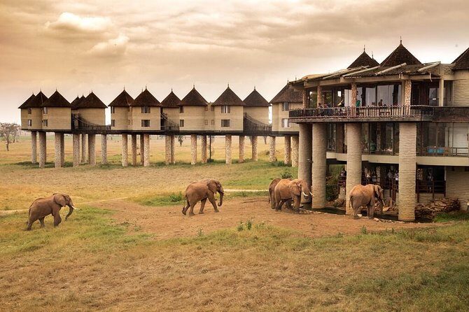 2-Day Safari in Taita Hills from Mombasa - The Value for Money