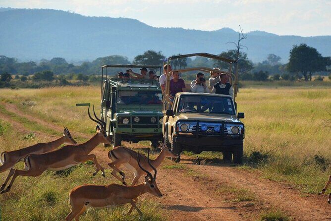 2 Day Safari Isimangaliso Wetland Park & Hluhluwe Imfolozi from Durban - Value and Booking