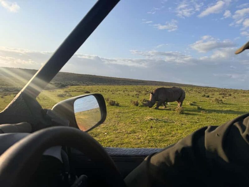 2-Day Safari with Big 5 Game Drives, at amazing 4-Star Lodge - Introduction