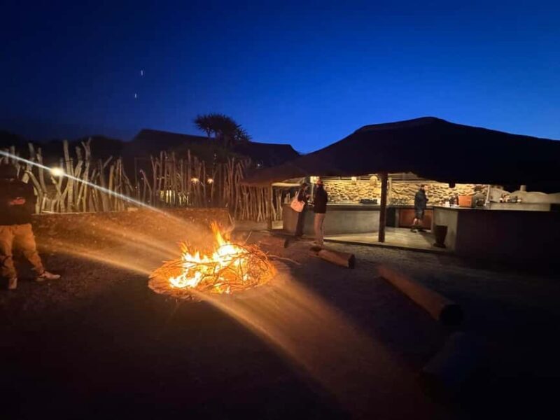 2-Day Safari with Big 5 Game Drives, at amazing 4-Star Lodge - Analyzing the Value