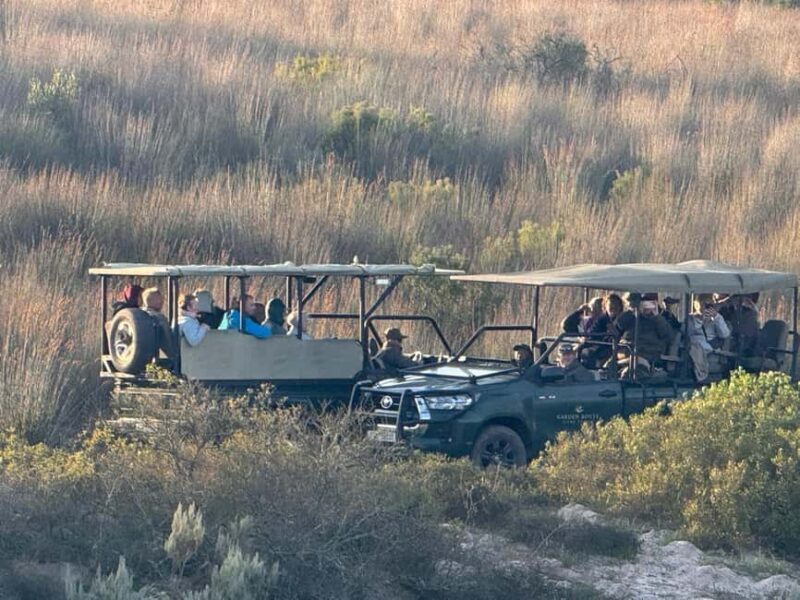 2-Day Safari with Big 5 Game Drives, at amazing 4-Star Lodge - The Sum Up