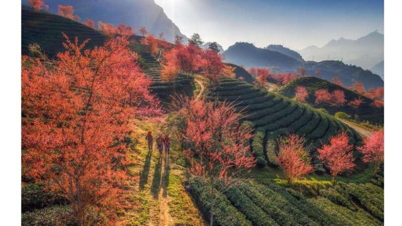 2-Day Sapa Tour from Hanoi with Homestay and Meals Included - Key Points