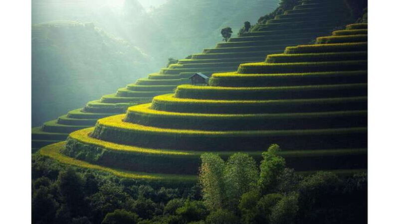 2-Day Sapa Tour from Hanoi with Homestay and Meals Included - The Experience Provider