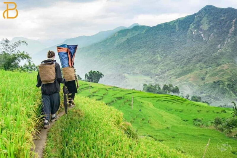 2-Day Sapa Trekking Adventure from Hanoi, Overnight Bungalow - Key Points