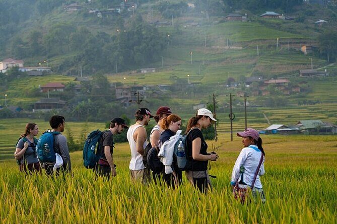 2-Day SAPA Trekking - Villages-Homestay-Ethnic-Local Food-Market - FAQ