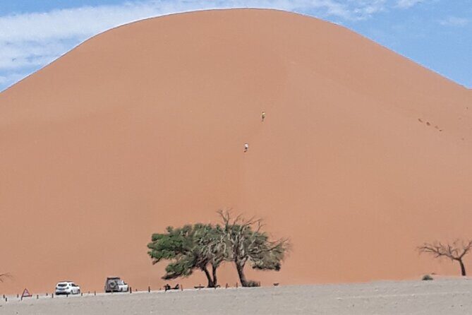 2 Day Scenic Sossusvlei Adventure Tour in Namibia - An In-Depth Look at the 2-Day Sossusvlei Tour
