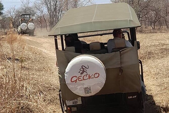 2-Day Selous Game Reserve Tour from Zanzibar - How the Tour Begins: From Zanzibar to the Safari