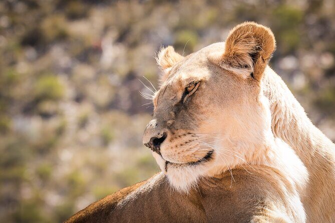 2-Day Selous Game Reserve Tour from Zanzibar - Who Will Love This Tour?