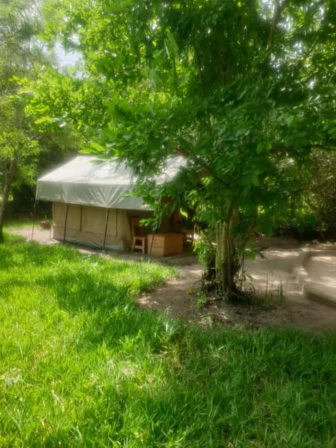 2 Day Selous wildlife view + Boat + Bushman walking safaris - Key Points