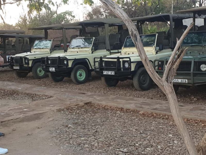 2 Day Selous wildlife view + Boat + Bushman walking safaris - Final Thoughts