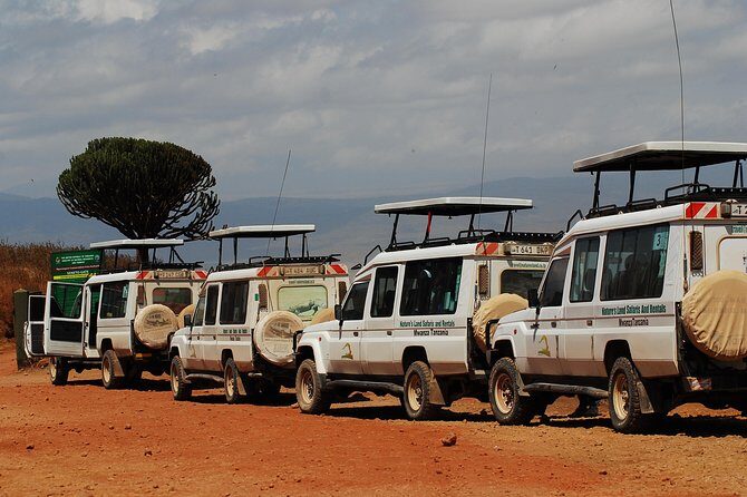 2 Day Serengeti Safari Experience from Mwanza - Final Thoughts