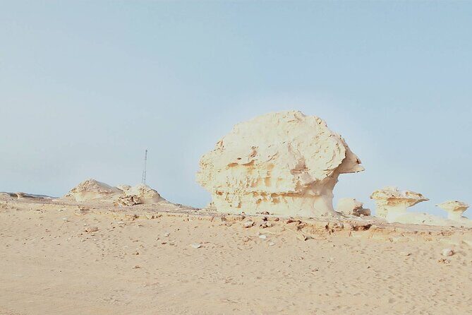 2-Day Shared Tour in White Desert from Cairo - Setting the Scene: What to Expect