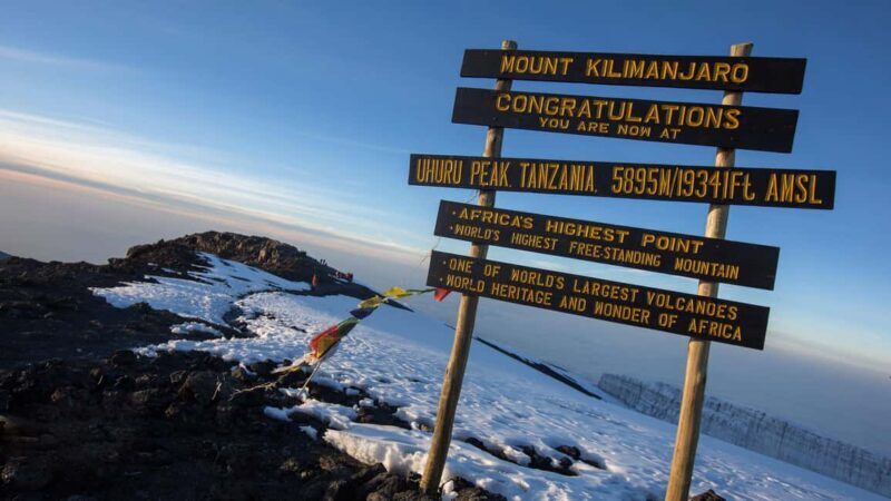 2-Day Short Mount Kilimanjaro Trek - What to Expect: Day-by-Day Breakdown