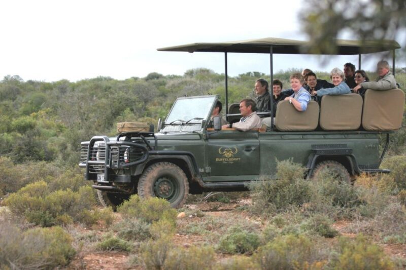 2 Day Small Group Cape Town: Garden Route Big 5 Safari Tour - Introduction