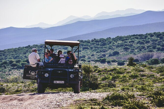 2 Day Small Group Garden Route Big 5 Safari Tour from Cape Town - An In-Depth Look at the Experience