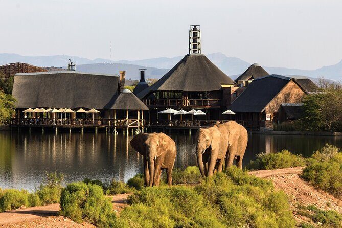 2 Day Small Group Garden Route Big 5 Safari Tour from Cape Town - Transportation, Accommodations, and Practicalities