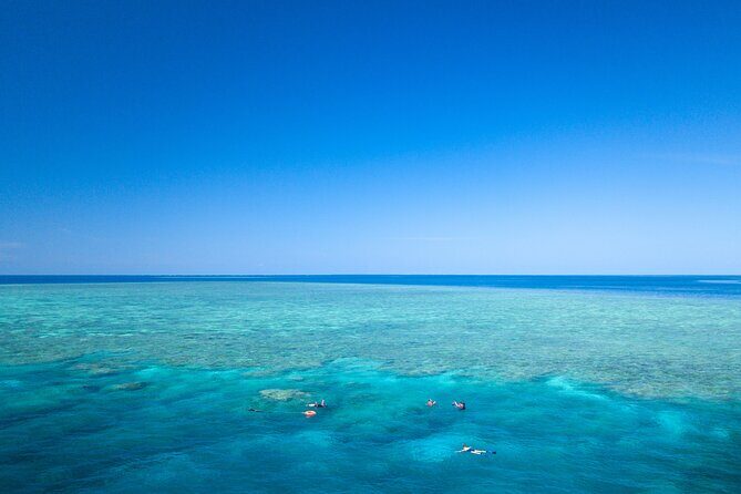 2-Day Snorkelling Experience - Great Barrier Reef Twin Share - Key Points