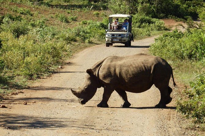 2 Day South African Wildlife Tour with 4x4 Safari from Cape Town - An In-Depth Look at the Experience