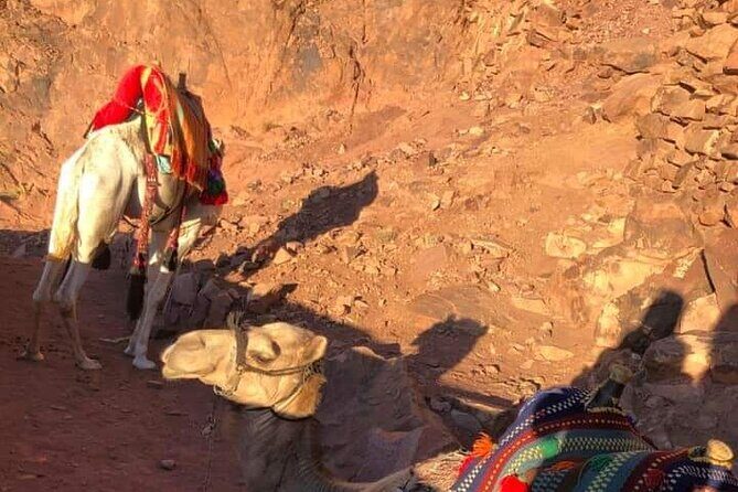 2-Day St Catherine and Moses Mountain Tour from Cairo - The Itinerary in Detail