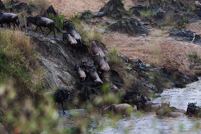 2 Day Tanzania Luxury Safari - Who Will Love This Tour?