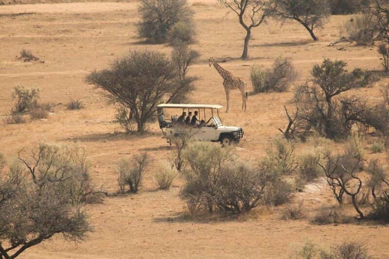 2-Day Tarangire National Park and Ngorongoro Crater Safari - Pricing and Value