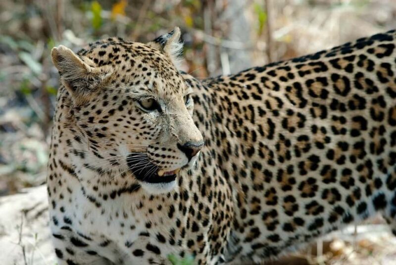 2-Day Tarangire National Park and Ngorongoro Crater Safari - Who is This Tour Best For?