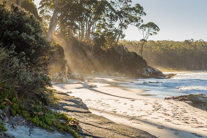 2 Day Tasmanian Highlights Tour - Bruny Island & Port Arthur - An In-Depth Look at the 2-Day Tasmania Highlights Tour