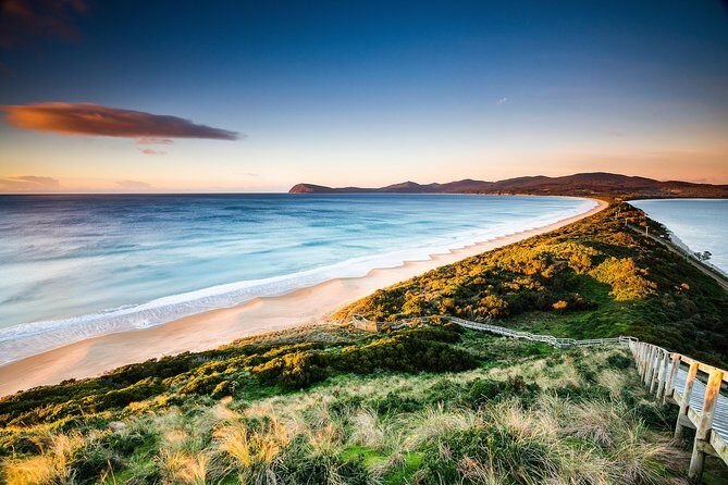 2 Day Tasmanian Highlights Tour - Bruny Island & Port Arthur - Final Thoughts