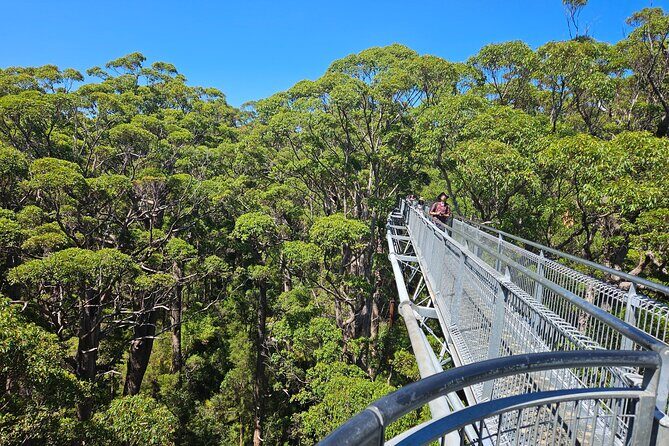 2 Day Tour Busselton Jetty, Ngilgi Cave to Valley of the Giants - An Introduction to the Tour Experience