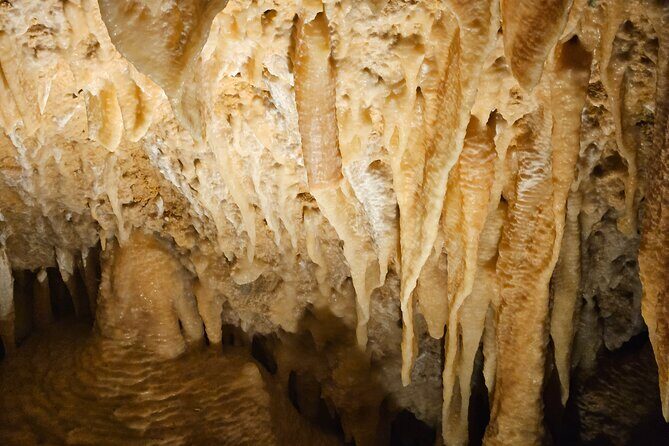 2 Day Tour Busselton Jetty, Ngilgi Cave to Valley of the Giants - Final Thoughts