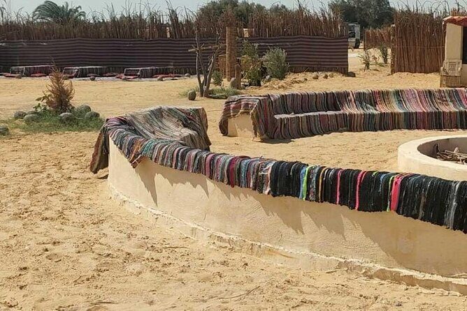 2 Day Tour Exploring Cairo's Unique White Desert - A Deep Dive into the Adventure