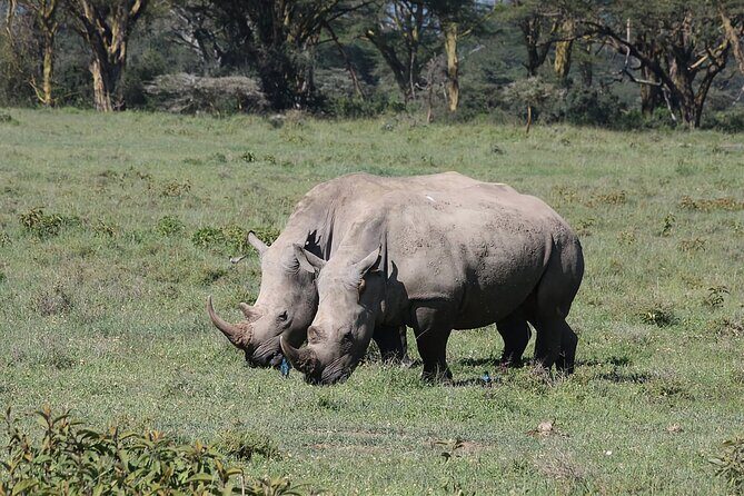 2 Day Tour Hells Gate, Lake Naivasha & Lake Nakuru from Nairobi - A Complete Breakdown of the Itinerary