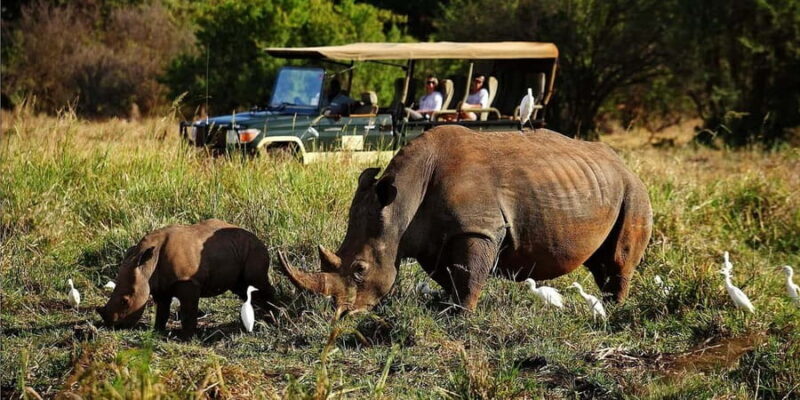 2 Day Tour Lake Nakuru, Hell' s Gate & Lake Naivasha - The The Sum Up