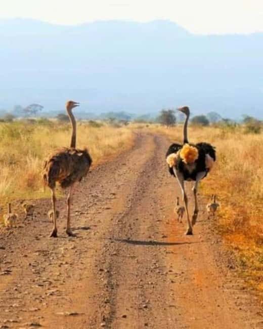 2 Day Tour Lake Nakuru, Hell' s Gate & Lake Naivasha - Practical Considerations and Value