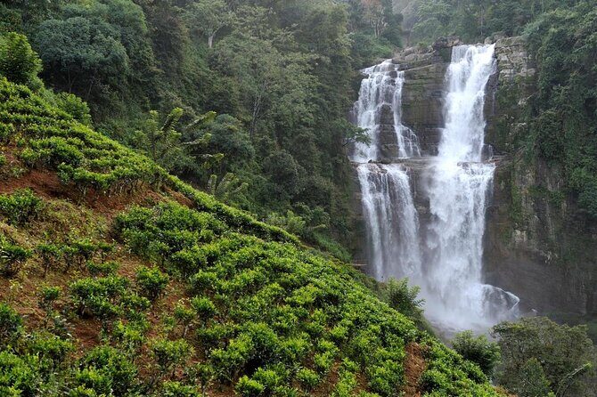 2 Day Tour of Yala & Ella with Hill Country Scenic Train Ride - All Inclusive - Key Points