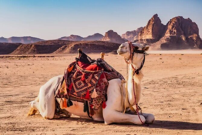 2 Day Tour Petra Wadi Rum and Dead Sea from Amman - From Desert to Dead Sea: A Unique Rejuvenation