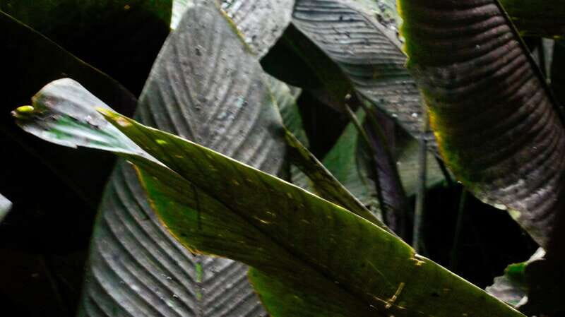 2 day tour Puente de Dios and Xilitla from San Luis Potosí - Final Thoughts